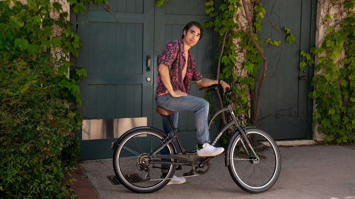 Electra Townie Bike